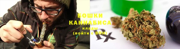 сатива Краснотурьинск