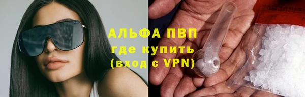 сатива Краснотурьинск