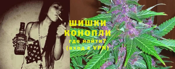 сатива Краснотурьинск