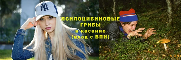 сатива Краснотурьинск