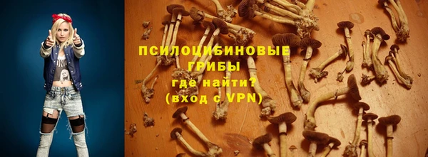 сатива Краснотурьинск