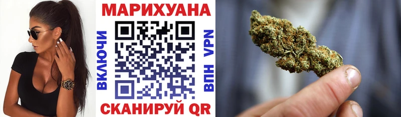 Купить где  Бородино  Марихуана сатива 